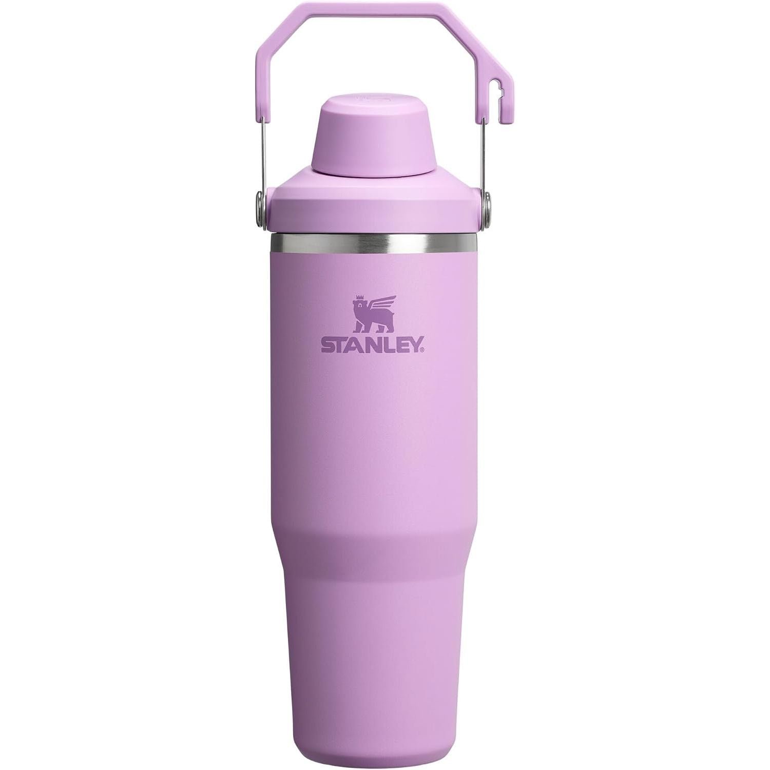 Stanley IceFlow 2.0 Fast Flow Tumbler with Handle 30 oz | Twist On Angled Spout Lid | Leakproof Water Bottle | Insulated Stainless Steel | BPA-Free | Frost